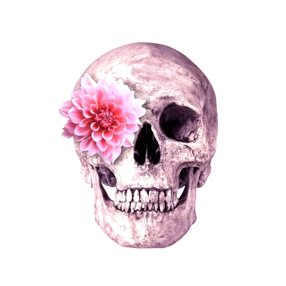 Meet your Posher, Gloria - Picture 1 of 1